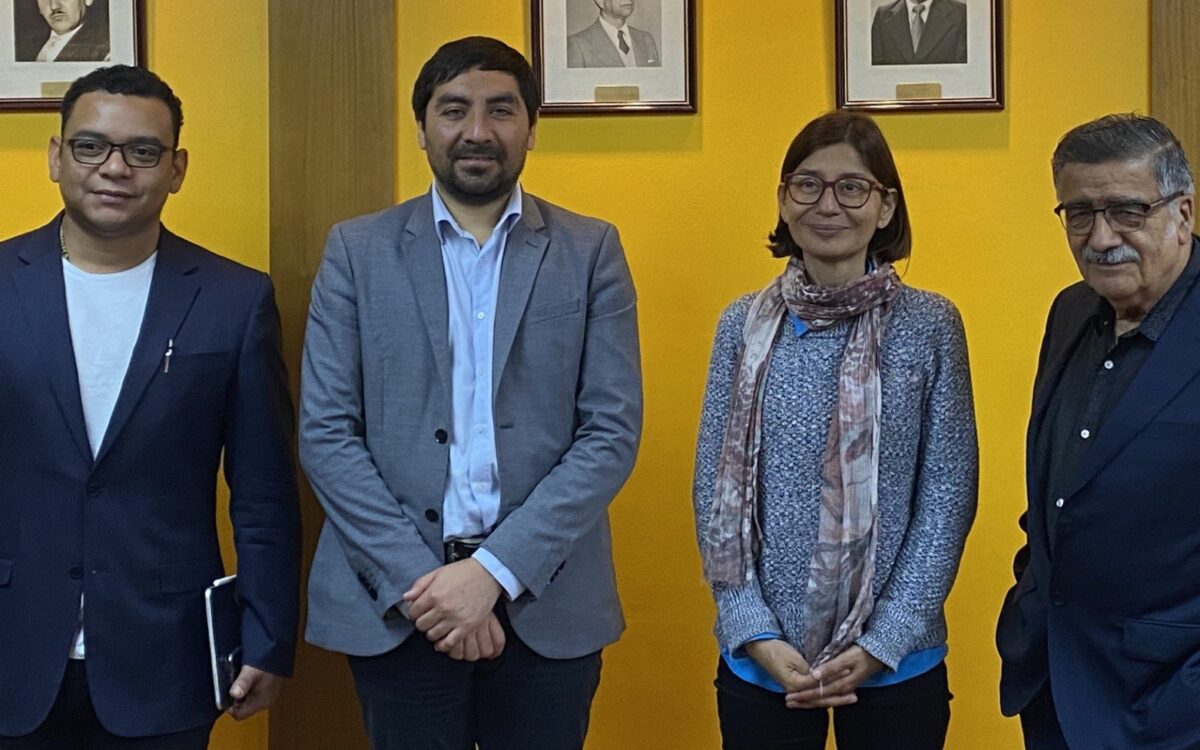 Manuel Meléndrez, Javier Sepúlveda, Sofía Valenzuela y Pedro Vera