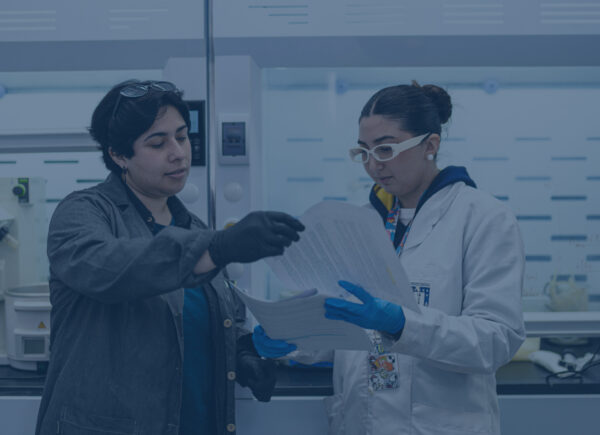 cifra_estudiante_doctorado